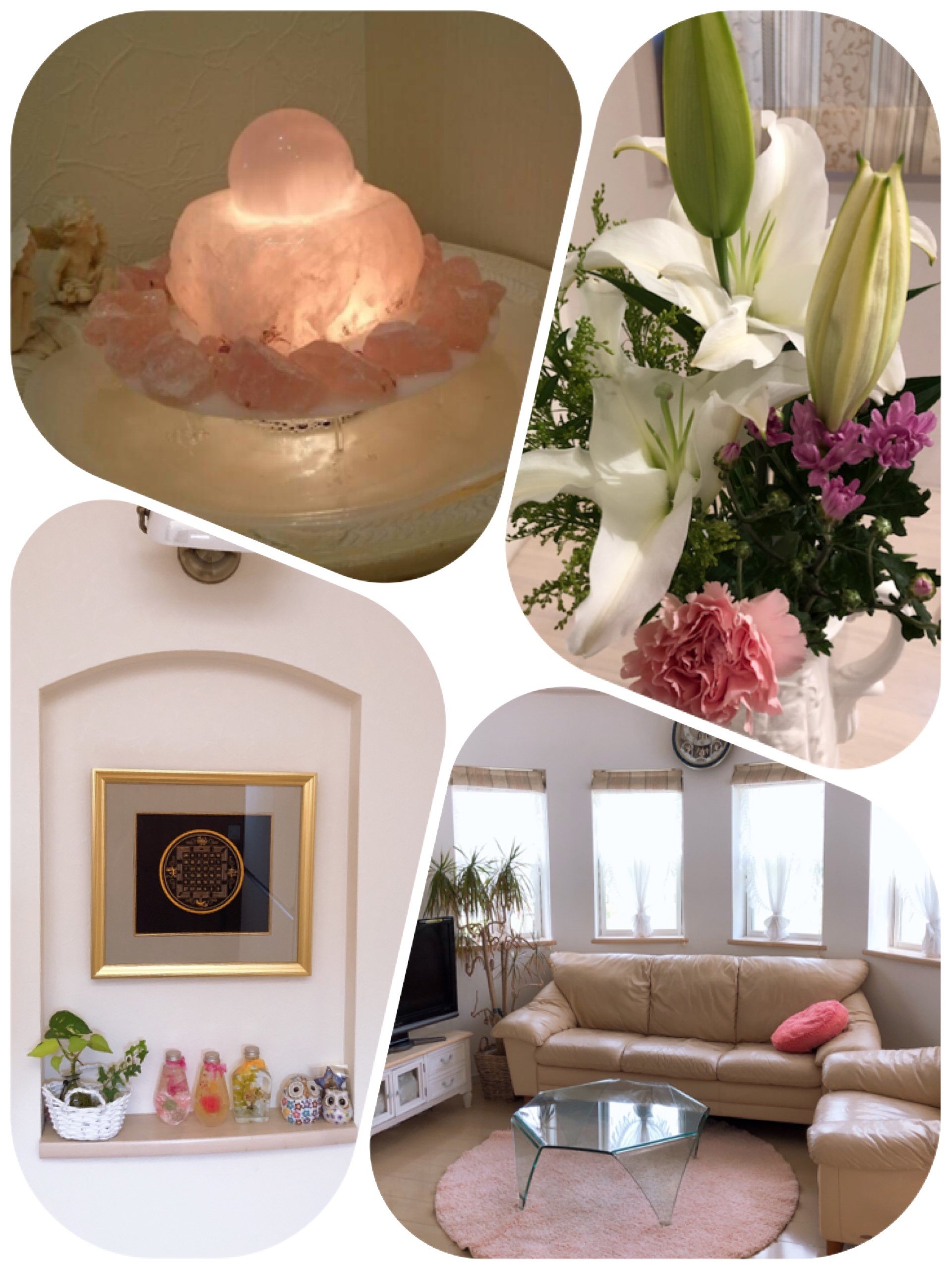 占い師心桜のお気に入り写真